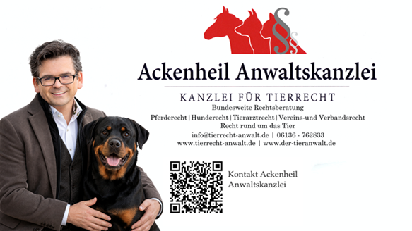 Kontaktbild