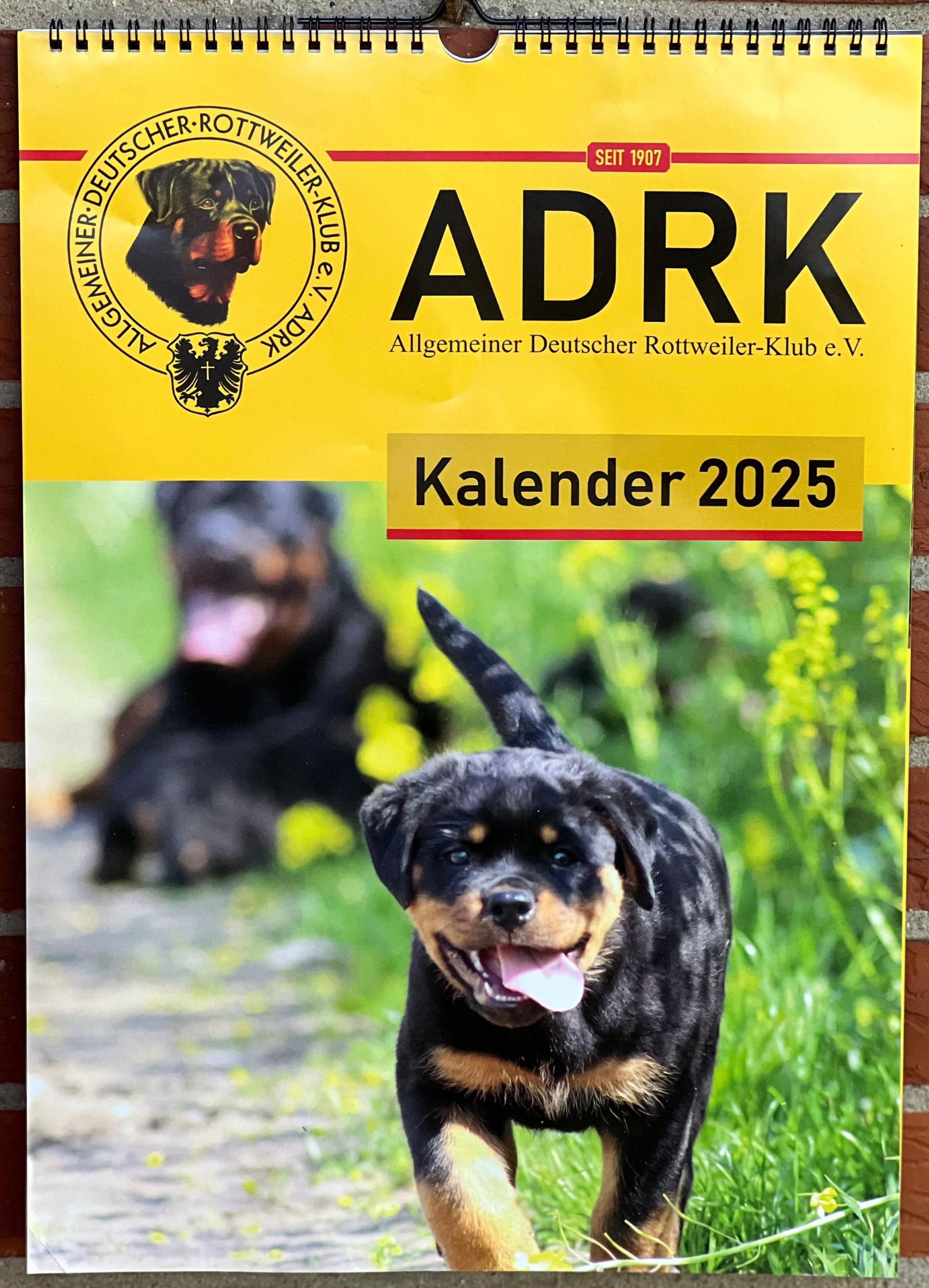 Bild neu