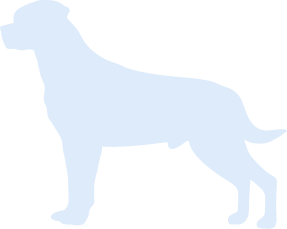 dog-silhouette