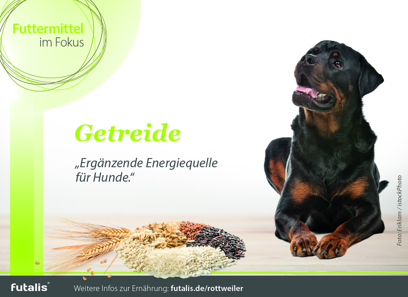 getreide rottweiler futalis 1216