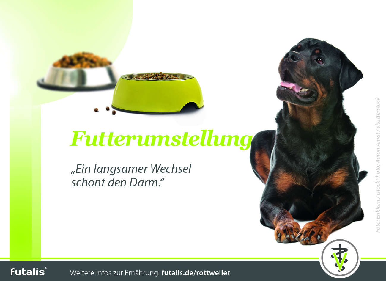 rottweiler futterumstellung futalis