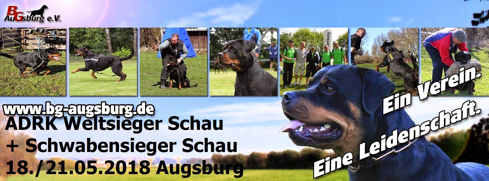 2018-01-02 - BG BANNER - Ein Verein eine Leidenschaft - WSSCH.20182 - AUGSBURG2018