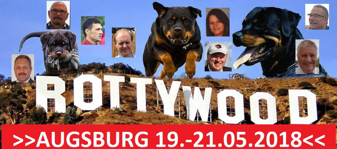 2018-02-10 - ROTTYWOOD 19.21.05.2018 - BANNER - 1136x0440 125KB - Alhan Rose MIT DATUM  JUDGES - AUGSBURG2018