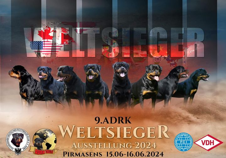 Plakat BG PS