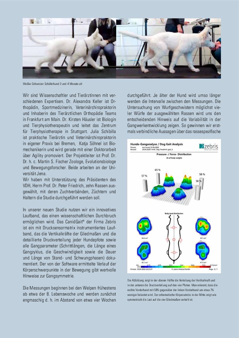 Info Gangwerkstudie 2